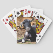 KLEINE GOAT POKERKAARTEN (Achterkant)