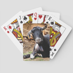 KLEINE GOAT POKERKAARTEN