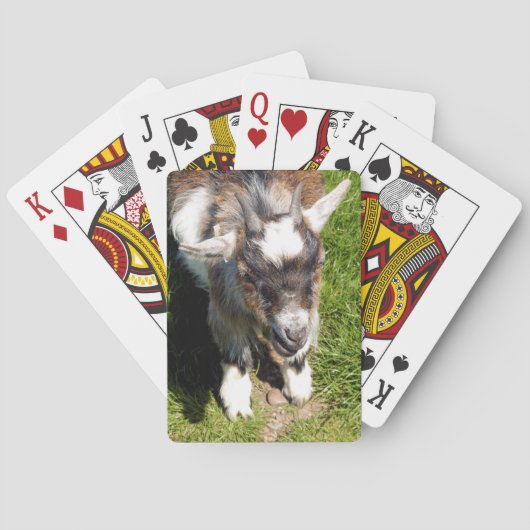 KLEINE GOAT POKERKAARTEN (Achterkant)