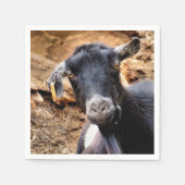 KLEINE GOAT SERVETTEN (Voorkant)