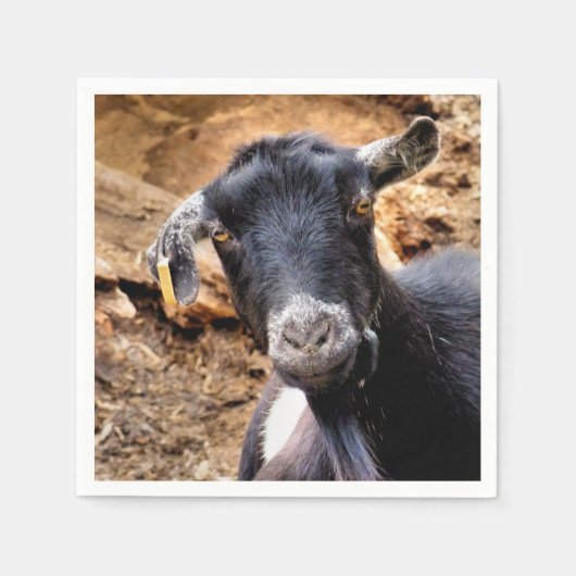 KLEINE GOAT SERVETTEN (Voorkant)