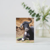 KLEINE GOAT VISITEKAARTJE (Staand voorkant)