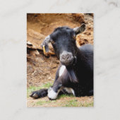 KLEINE GOAT VISITEKAARTJE (Voorkant)