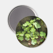 Kleine greens magneet (Voorkant / Achterkant)