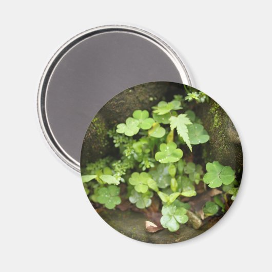 Kleine greens magneet (Voorkant / Achterkant)