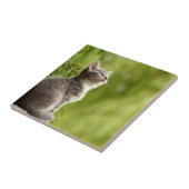 Kleine grijs en witte keuken tot aan de hemel tegeltje (Zijkant)