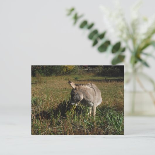 Kleine grijze Donkey met wilde bloemen Briefkaart (Staand voorkant)