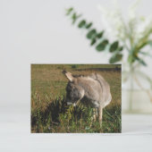Kleine grijze Donkey met wilde bloemen Briefkaart (Staand voorkant)