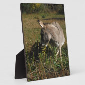 Kleine grijze Donkey met wilde bloemen Fotoplaat (Zijkant)
