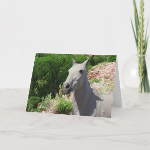 kleine grijze Pony met grote ogen - leeg Kaart