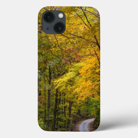 Kleine grindweg omzoomd door herfstkleuren Case-Mate iPhone case (Achterkant)