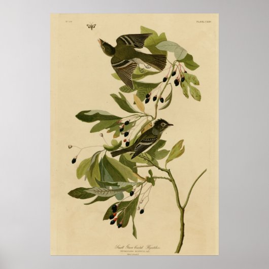 Kleine groene brochure poster (Voorkant)