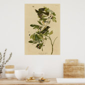 Kleine groene brochure poster (Keuken)