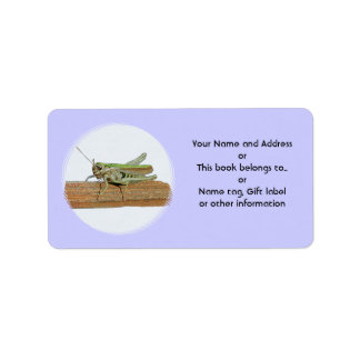 Kleine Groene Grasshopper Cartoon Etiket