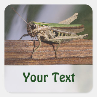 Kleine Groene Grasshopper Naam Gift Label Bookplat