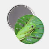 Kleine groene kikker magneet (Voorkant / Achterkant)