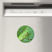 Kleine groene kikker magneet (Insitu (Vaatwasser))