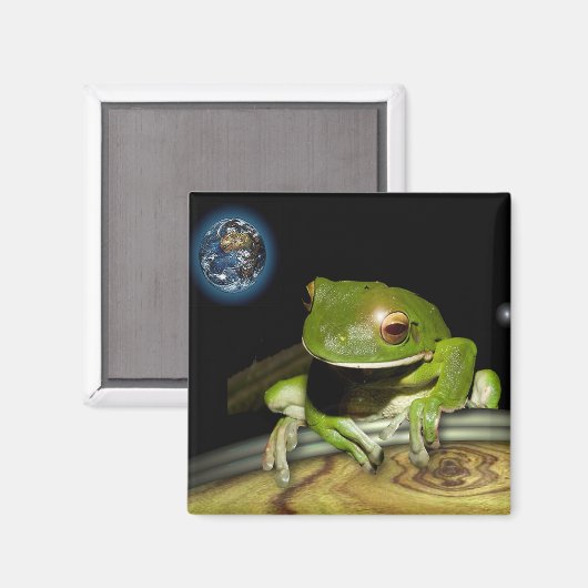 KLEINE GROENE KIKKER MAGNEET (Voorkant / Achterkant)