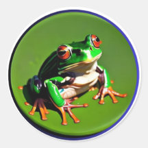 Kleine Groene Kikker op een Waterlelieblad #3