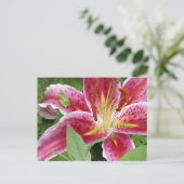Kleine groene kikker op Stargazer Lily Briefkaart (Staand voorkant)