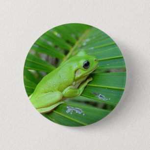 Kleine groene kikker ronde button 5,7 cm