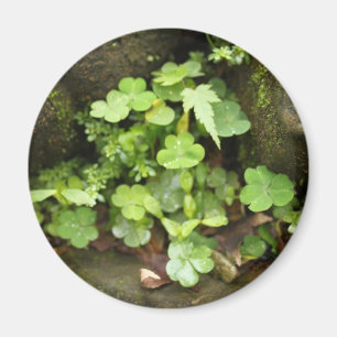 Kleine groenen magneet