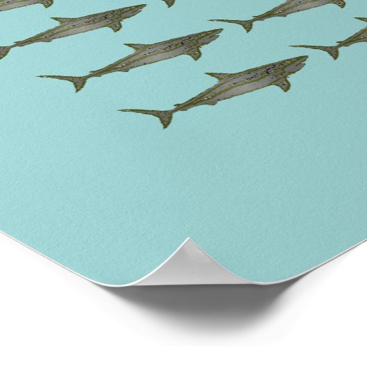 kleine haaienvangers poster (Hoek)