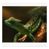 Kleine hagedis foto afdruk (Voorkant)