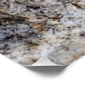 Kleine hagedis op zonlicht perfect poster (Hoek)