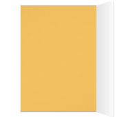 Kleine Halloween Heks Kitten Kat (Binnen (Links))