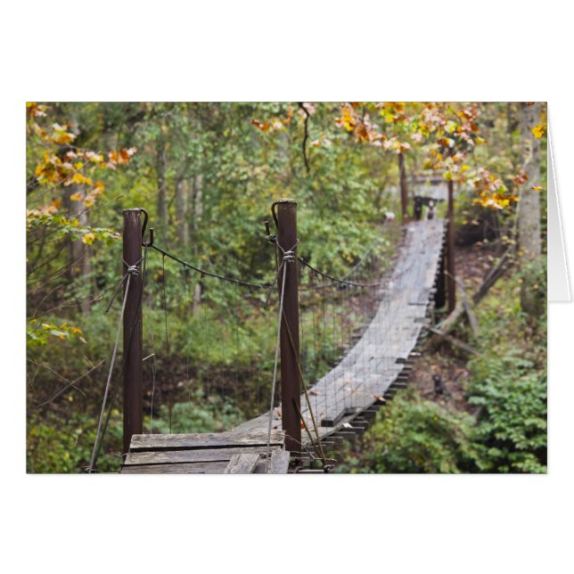 Kleine hangende brug, nationaal erfgoed voor kolen (Voorkant Horizontaal)