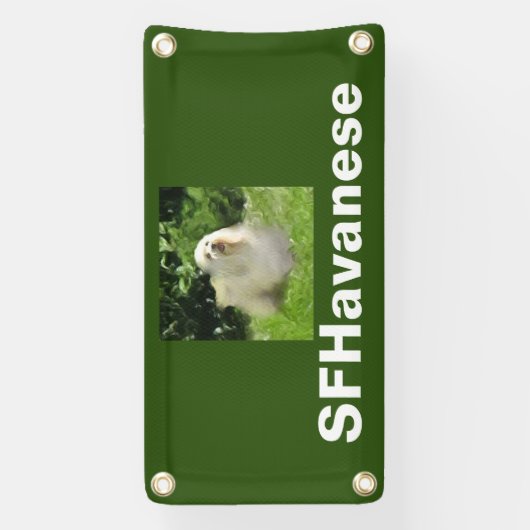  kleine Havanese banner (Verticaal)