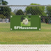  kleine Havanese banner (Insitu)
