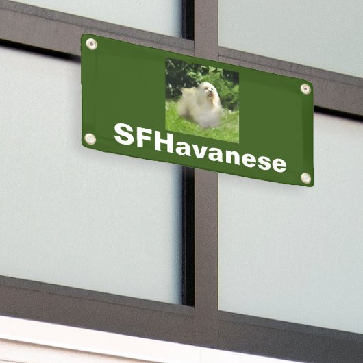  kleine Havanese banner (Buitenkant Gebouw)