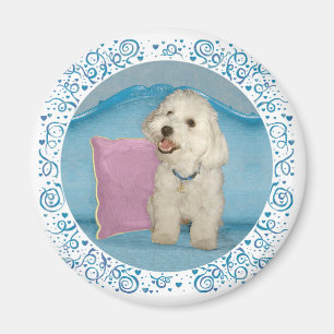 Kleine Havanese op Turquoise Bank Magneet