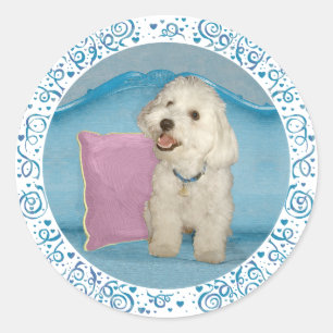 Kleine Havanese op Turquoise Bank Ronde Sticker