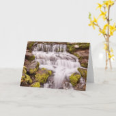 Kleine Herfsten in Yosemite Kaart (Gele Bloem)