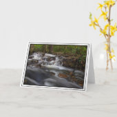 Kleine Herfsten op Zand-lentes Kaart (Gele Bloem)