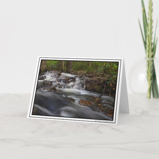 Kleine Herfsten op Zand-lentes Kaart (Voorkant)