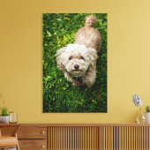 Kleine hond die opkijkt met camera canvas afdruk (Insitu (Woonkamer))