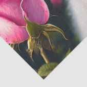 Kleine hond en Roos Collectie Tissuepapier (Detail)