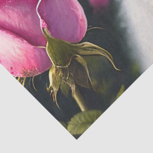 Kleine hond en Roos Collectie Tissuepapier (Detail)