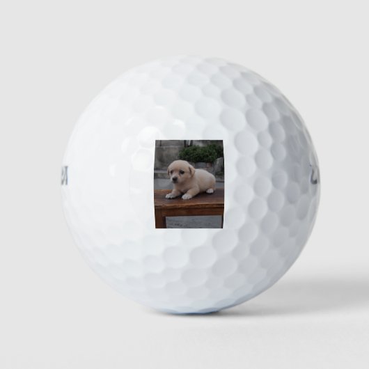 kleine hond golfballen (Voorkant)
