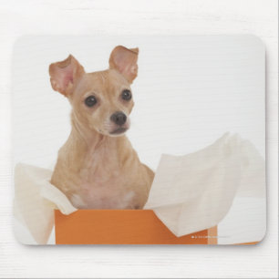 Kleine hond in cadeaudoos muismat