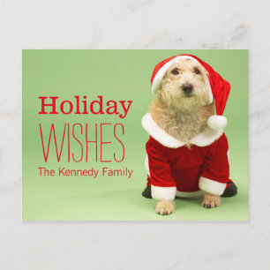 Kleine Hond in het Kostuum van de Kerstman Feestdagenkaart