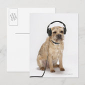 Kleine hond met hoofdtelefoon briefkaart (Voorkant / Achterkant)