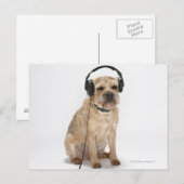 Kleine hond met hoofdtelefoon briefkaart (Voorkant / Achterkant)
