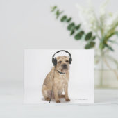 Kleine hond met hoofdtelefoon briefkaart (Staand voorkant)