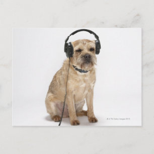 Kleine hond met hoofdtelefoon briefkaart