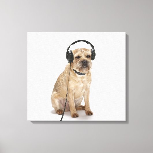 Kleine hond met hoofdtelefoon canvas afdruk (Voorkant)